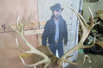 XL Nice Red Stag Shoulder Mount