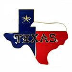 Texas Metal Magnet