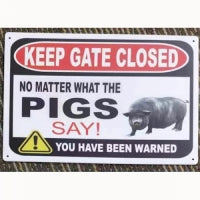 No Matter What Pigs Say 8 x 12 Tin Sign