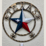 18" Red White Blue License Plate Texas with Star Double Rope