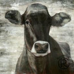 Black Cow Portrait Canvas