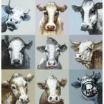 Nine Cow Portrait Canvas