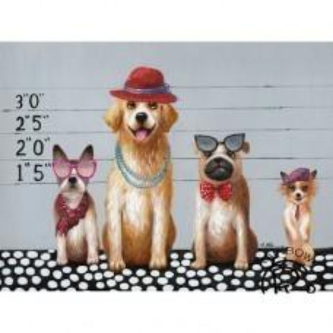 Four Lineup Dogs Canvas