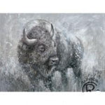 Buffalo Canvas