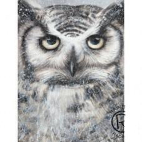 Large Owl Canvas