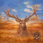 Mule Deer Canvas