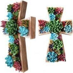 Cactus Cross