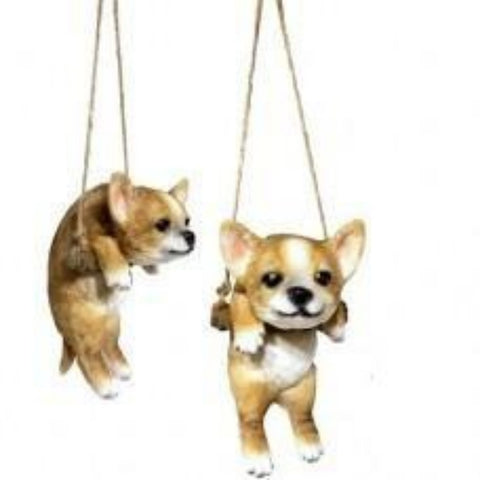 Swing Chihuahua