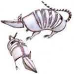 Metal Armadillo